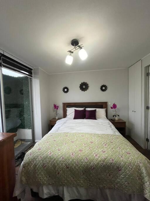 Departamento 1 dorm en Santiago