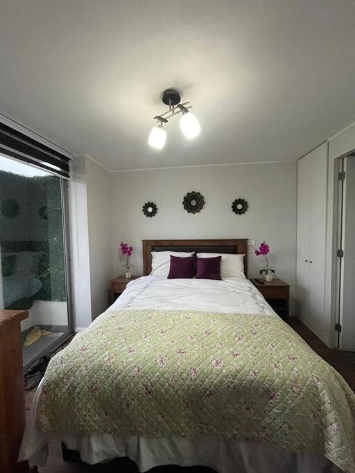 Departamento 1 dorm en Santiago
