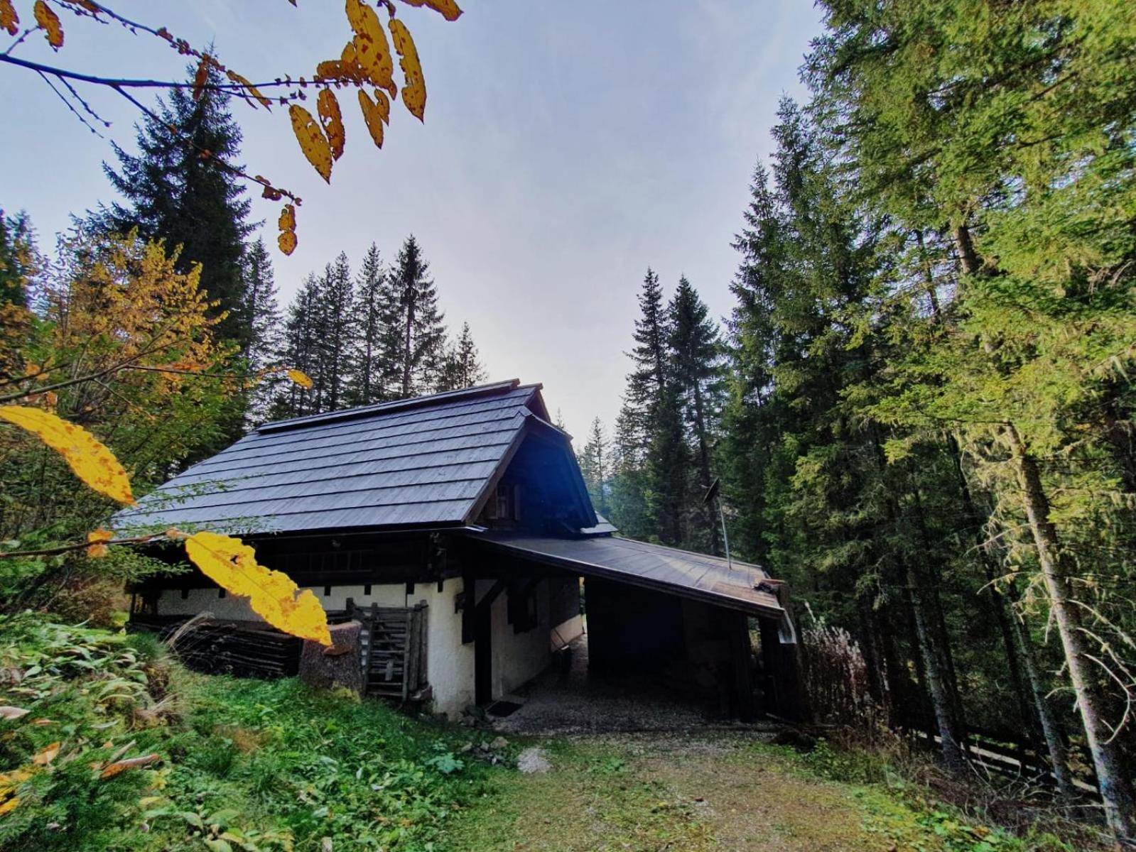 Chalet Hüttentraum by Globalimmoservice