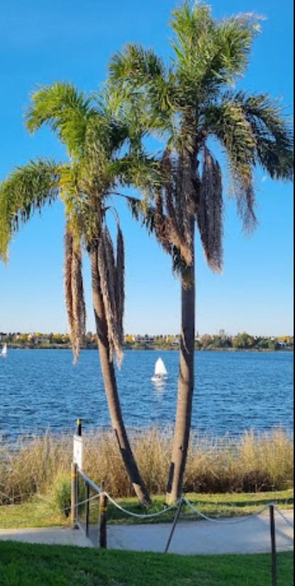 Departamento Vila Vela Terrazas al lago