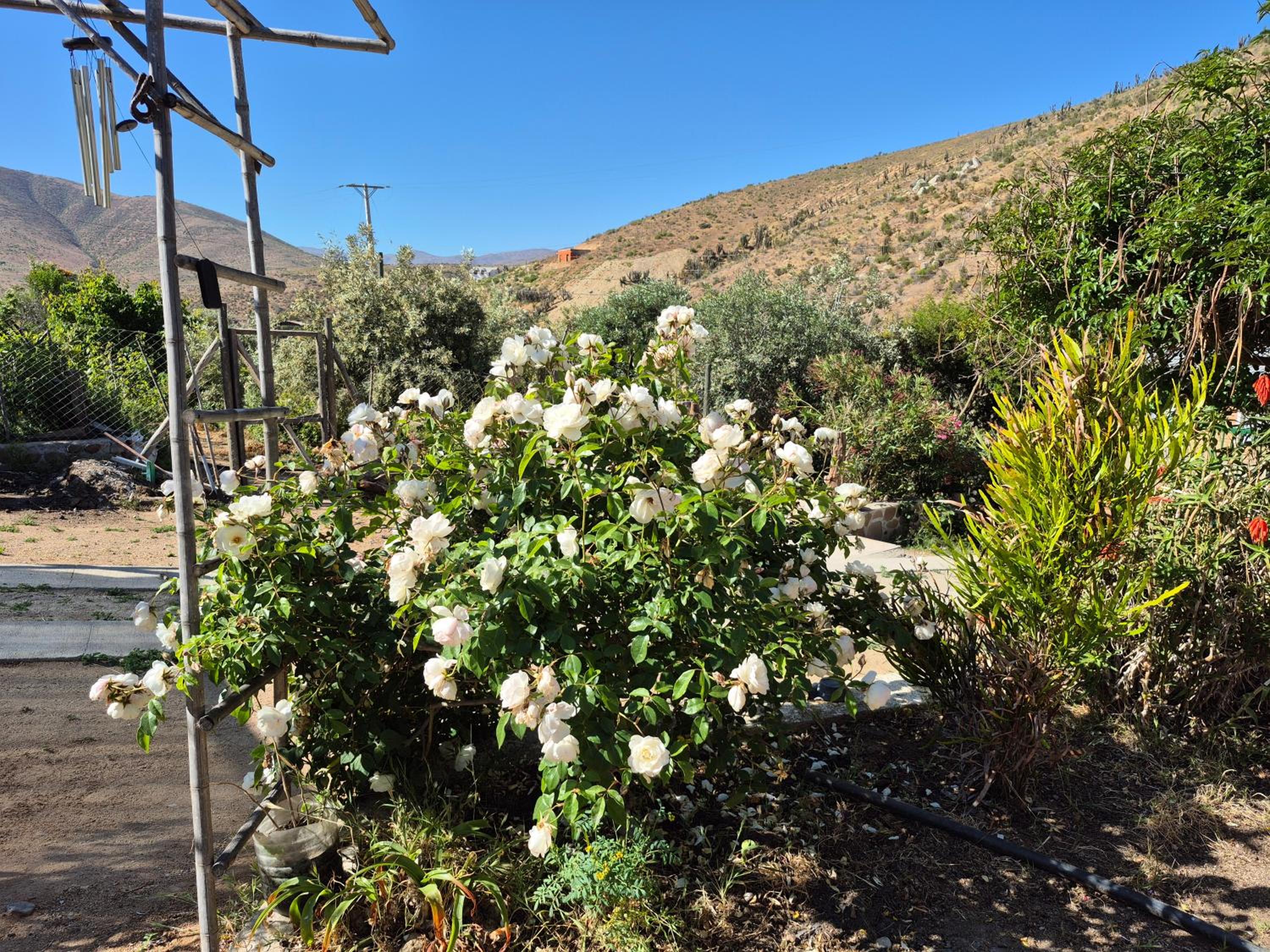 Hostal Los Almendros