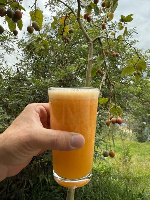 Buenavista