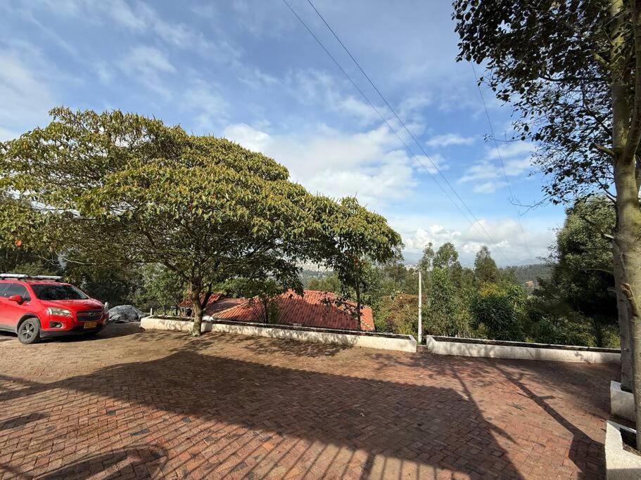 Buenavista