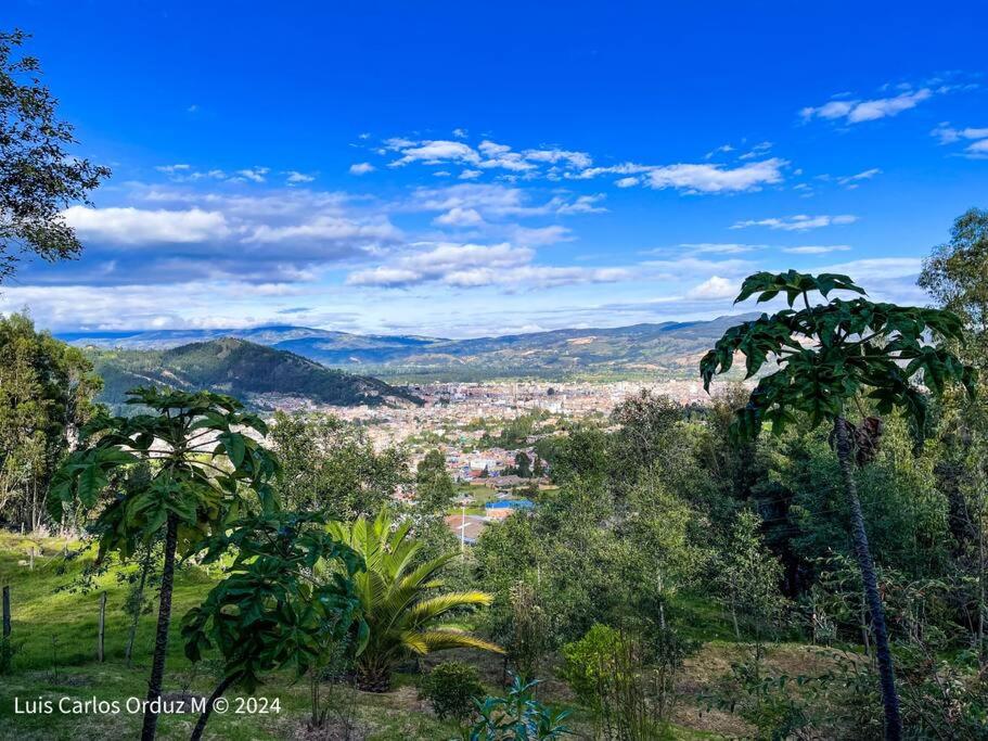 Buenavista