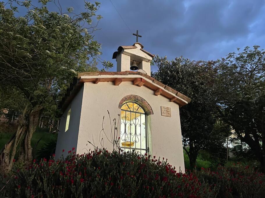 Buenavista