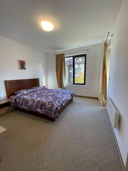 South Mountain Apartment