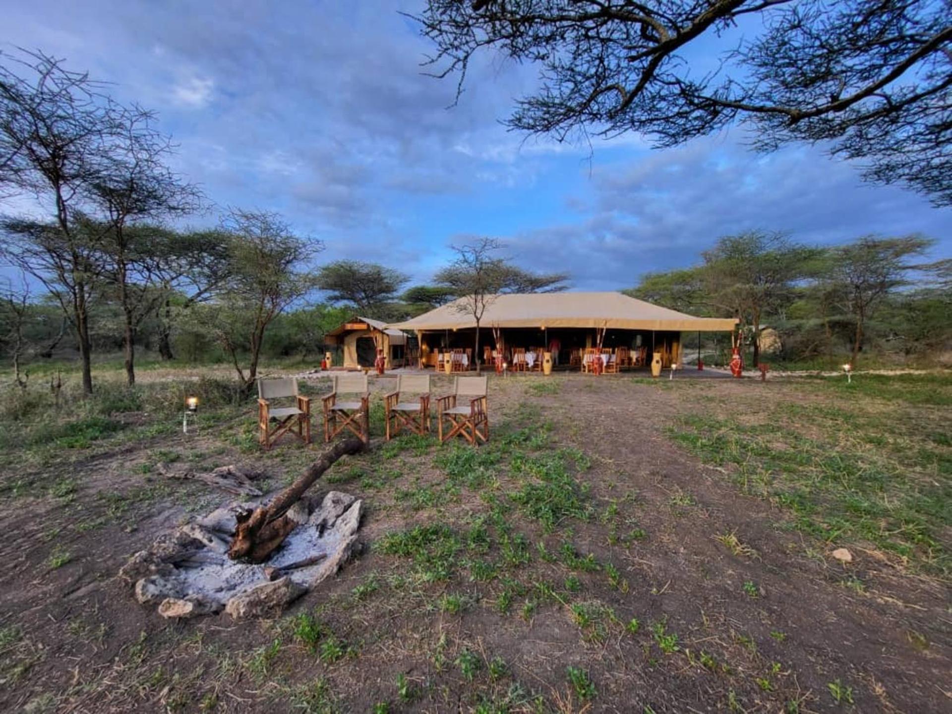 Africa Safari Serengeti Kusini