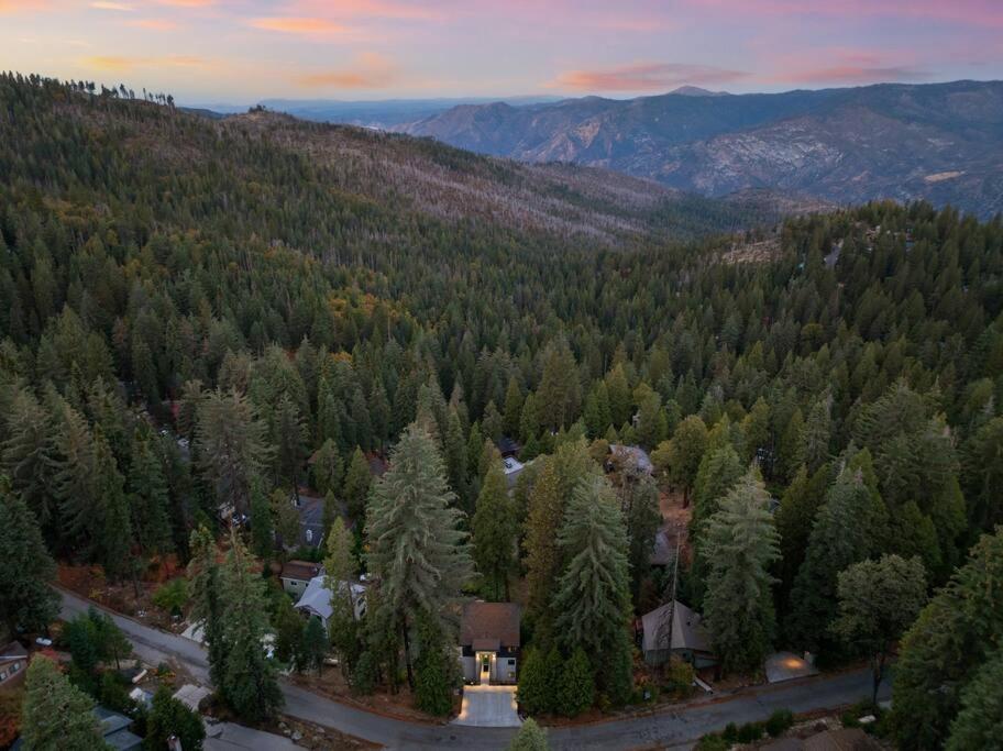 Wander Yosemite Park