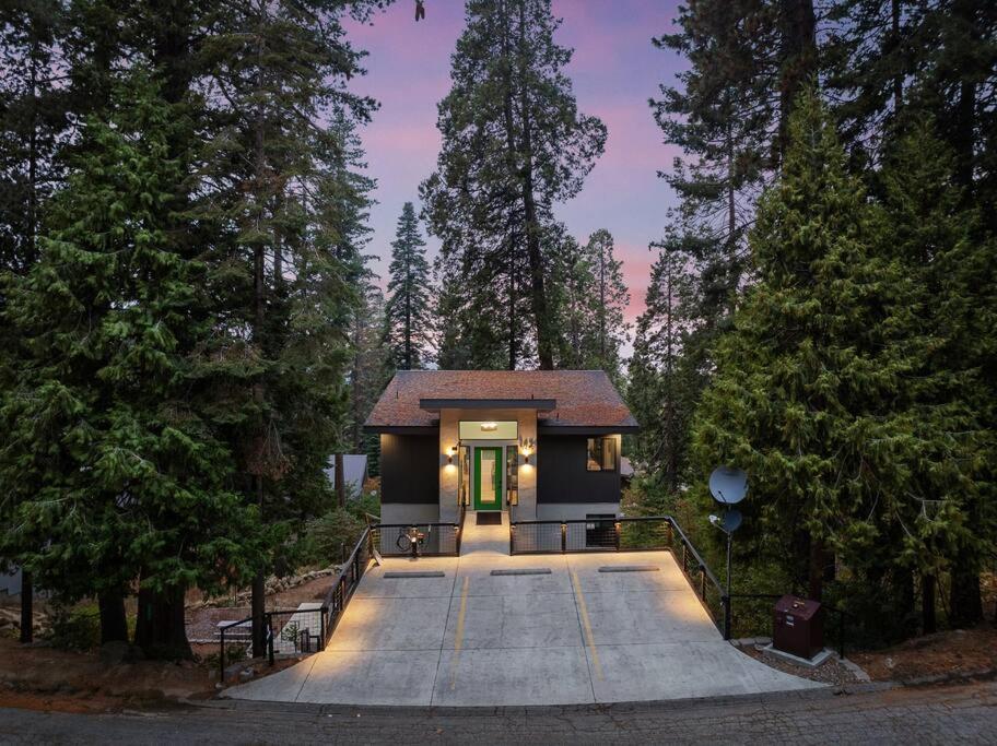 Wander Yosemite Park