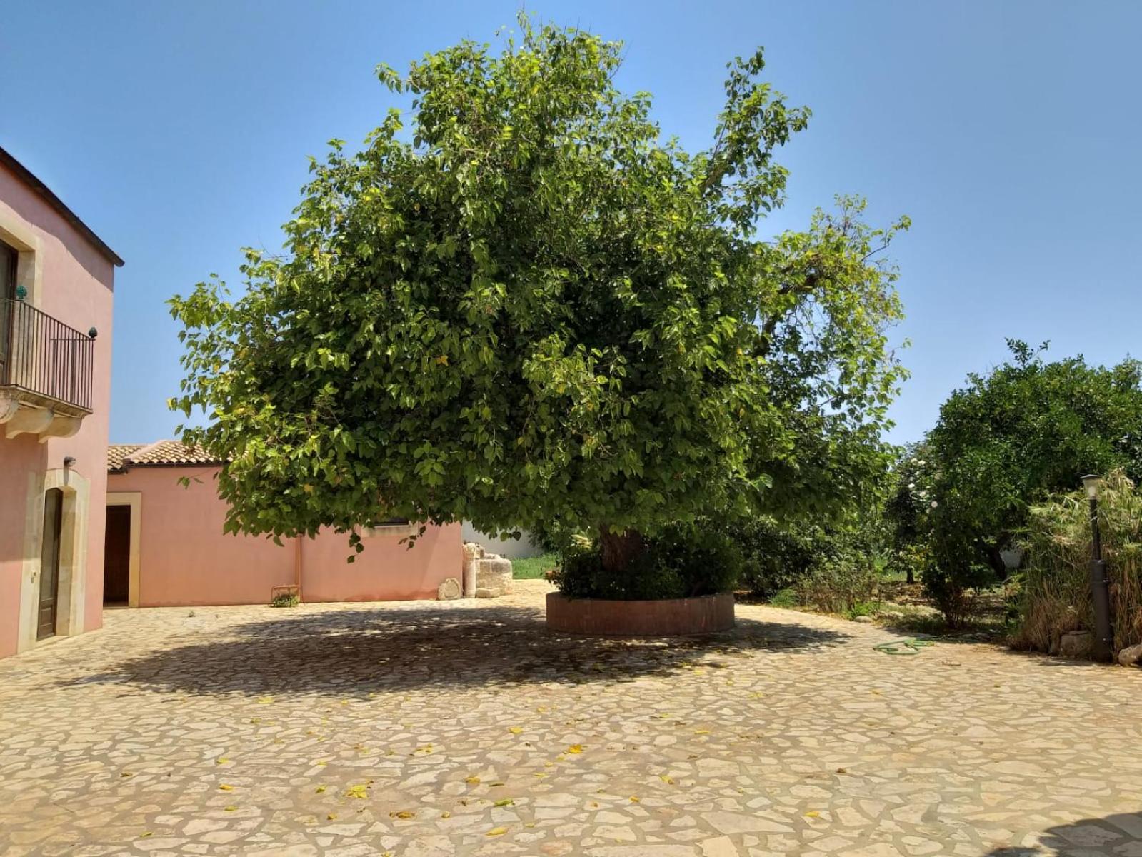 Antica Gebbia