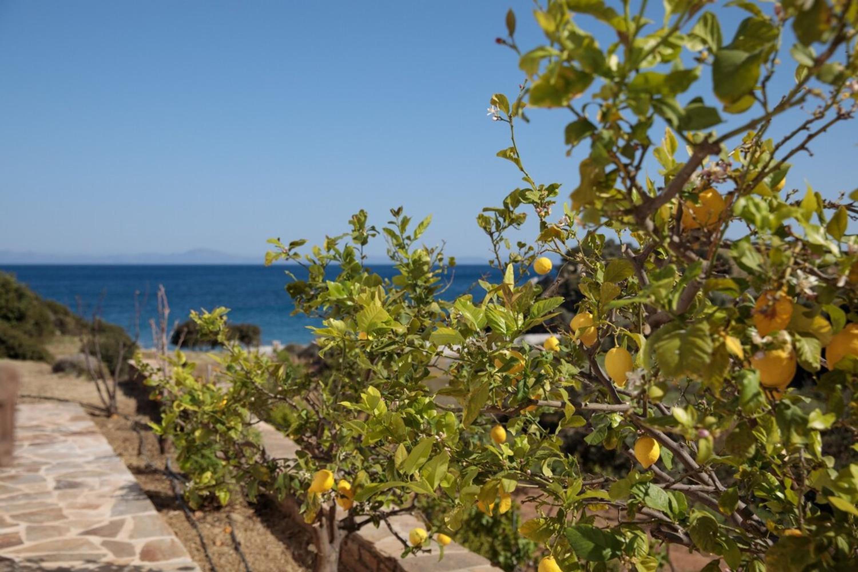 Apiliotis sunrise beach villa