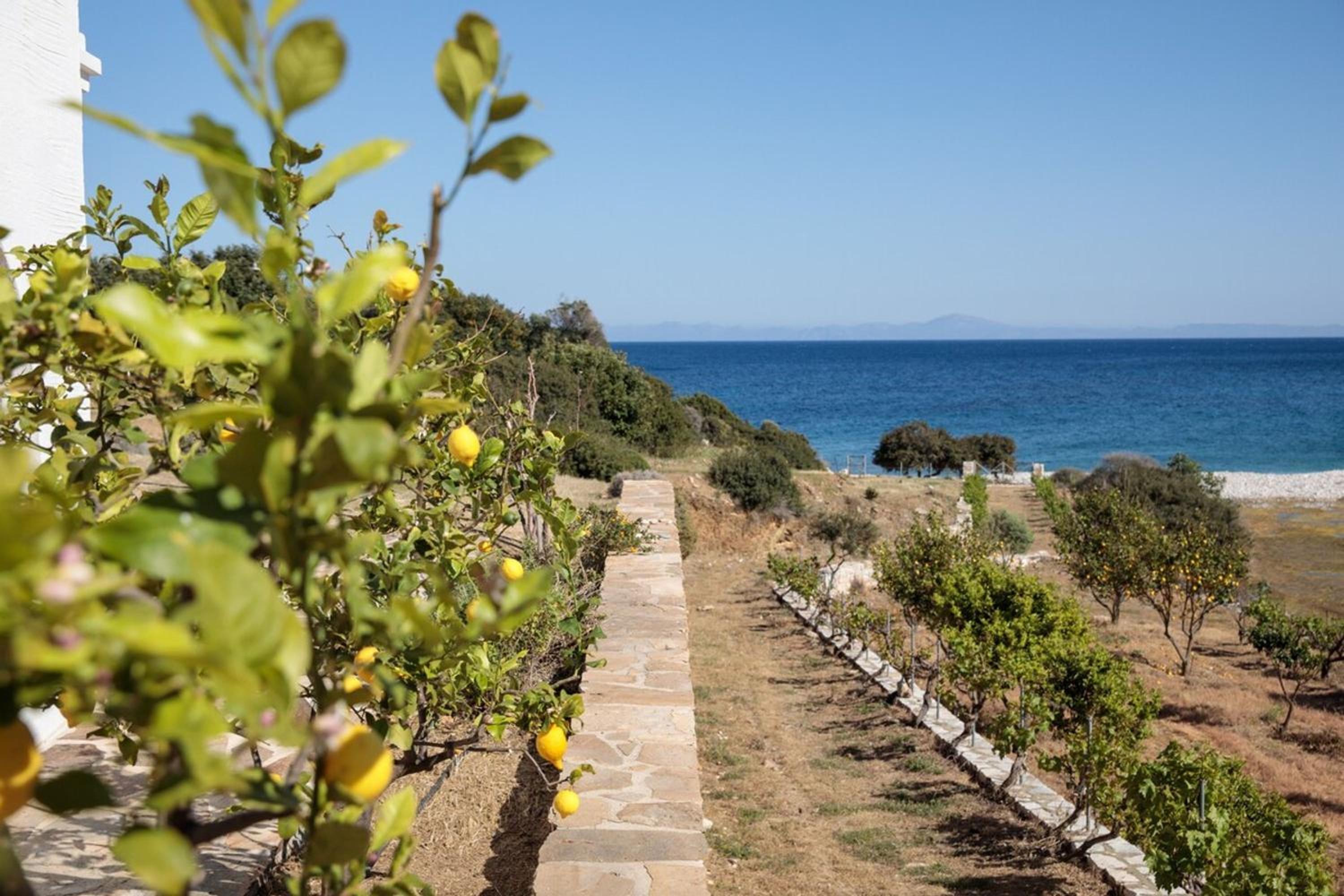 Apiliotis sunrise beach villa