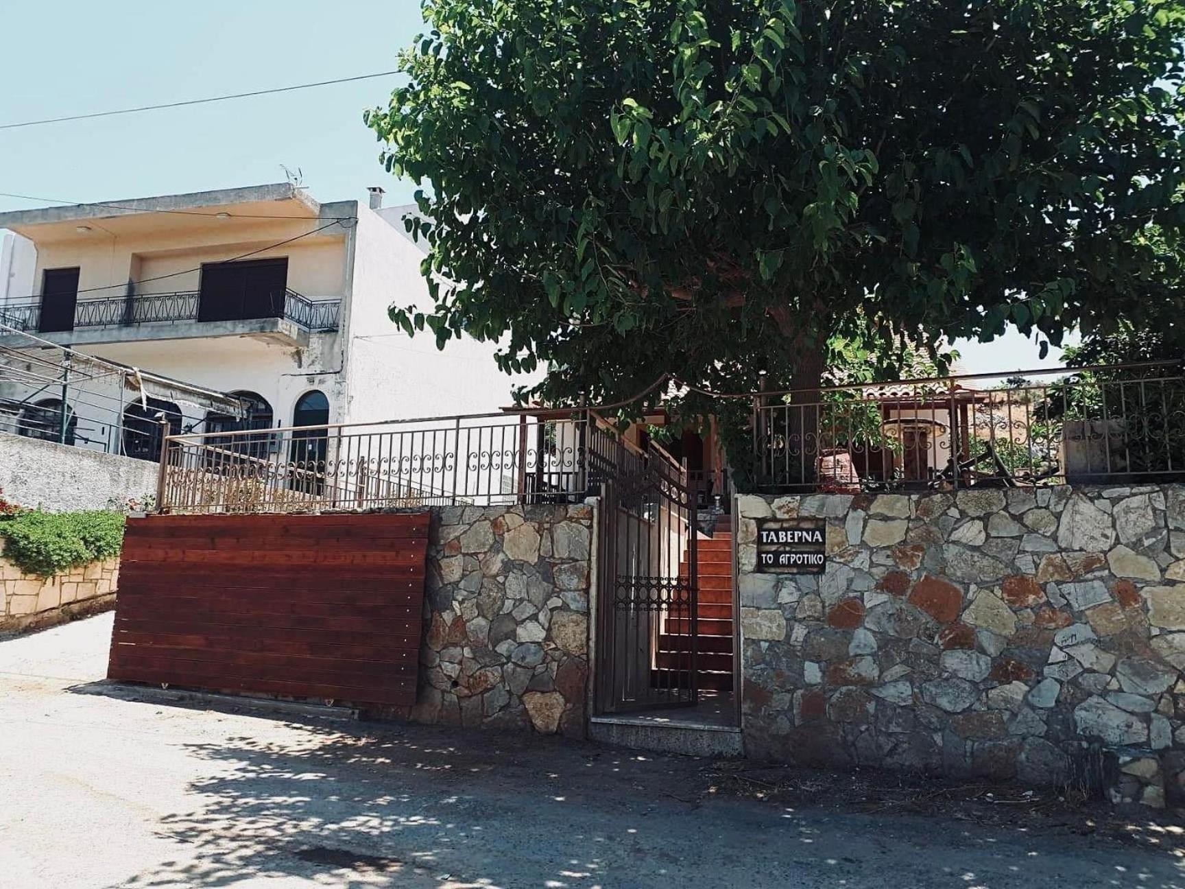 To agrotiko view 3