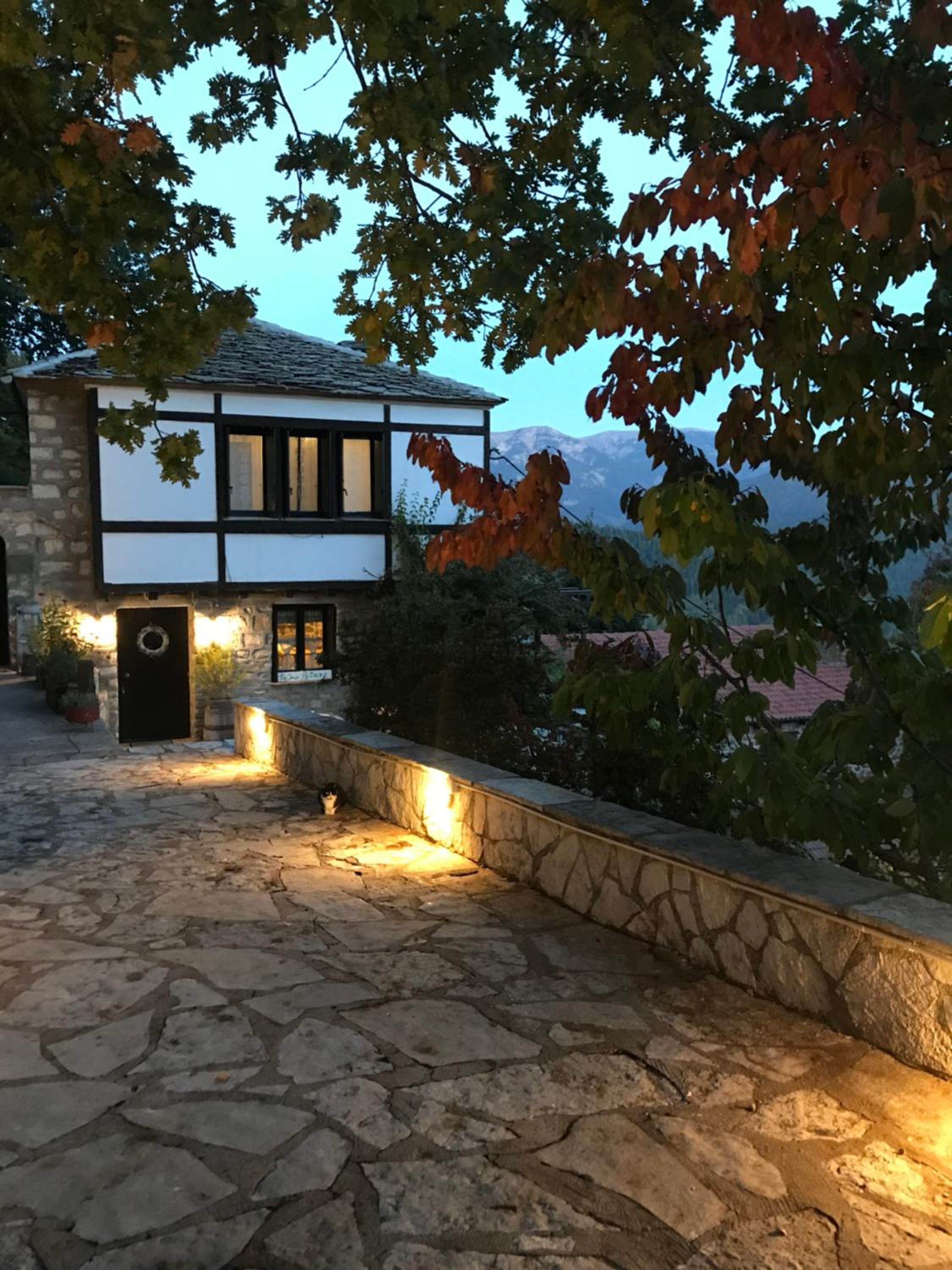ΤΟ ΑΡΧΟΝΤΙΚΟ view 3