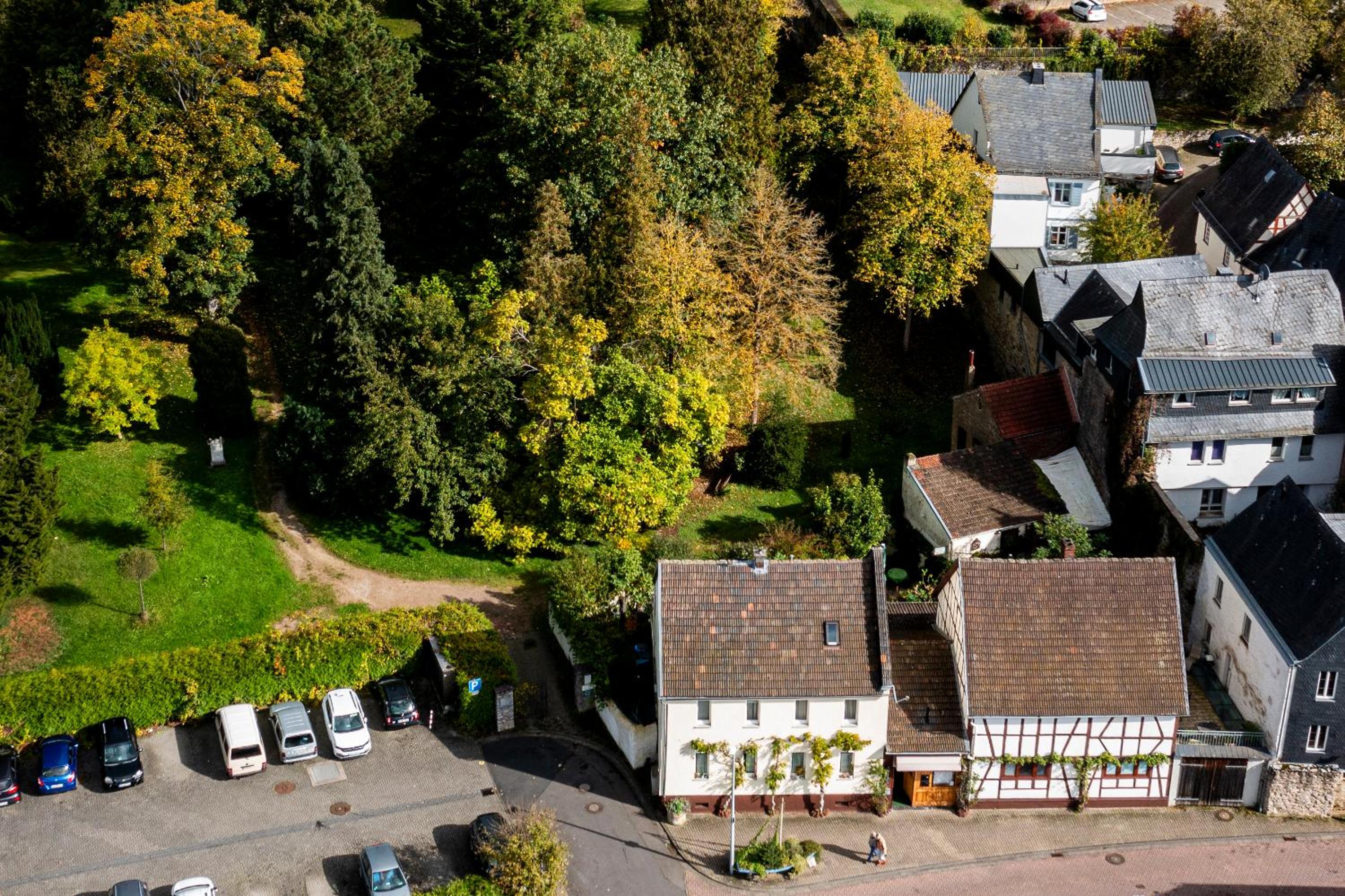 Wohnen am Park
