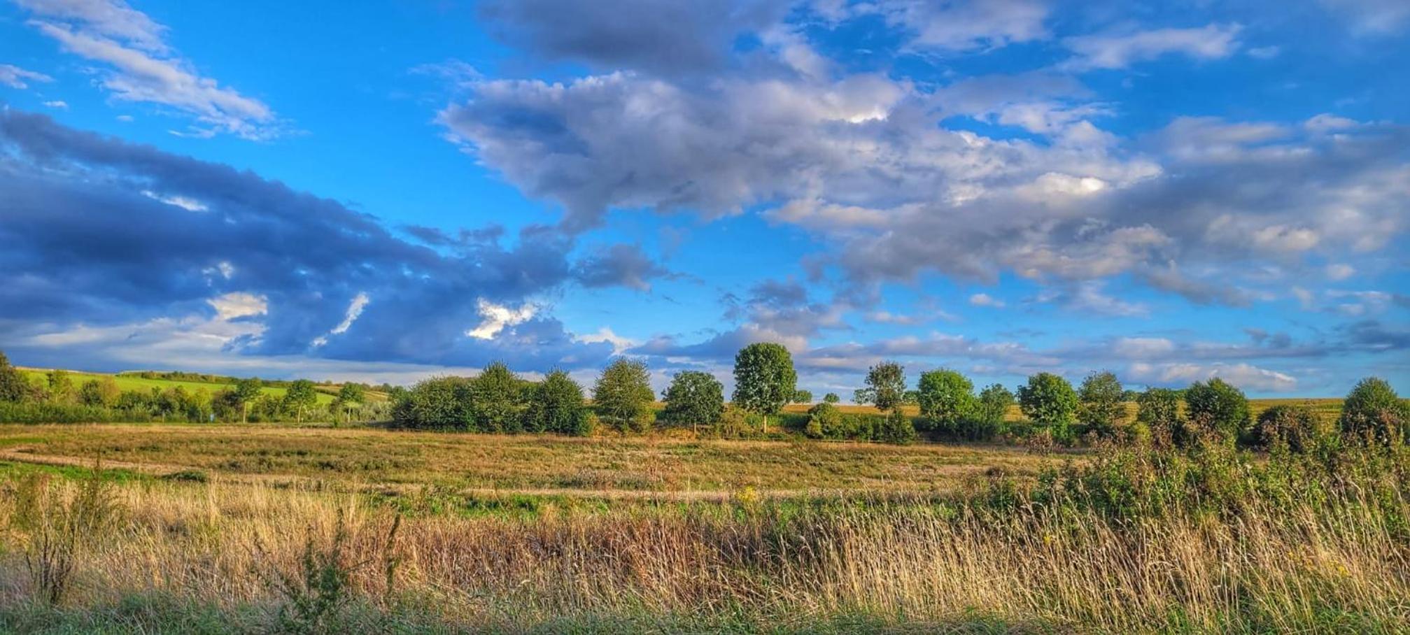 Hoeve Hofgaarde