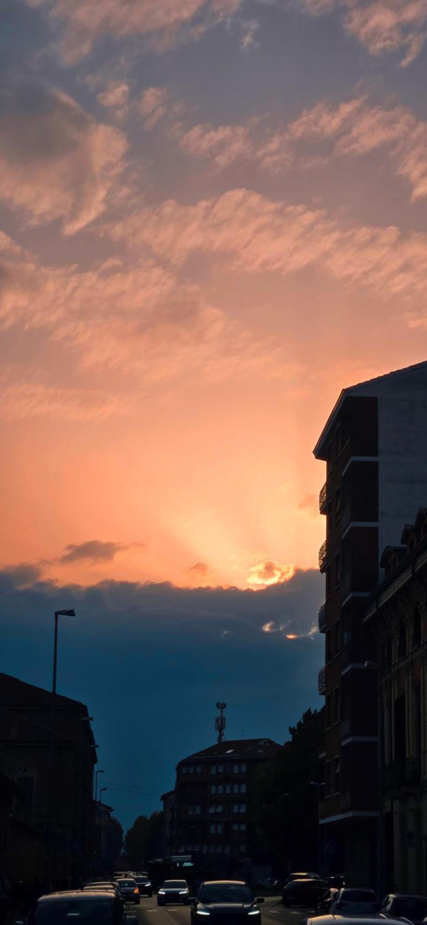 Jungle Sunshine Apartment