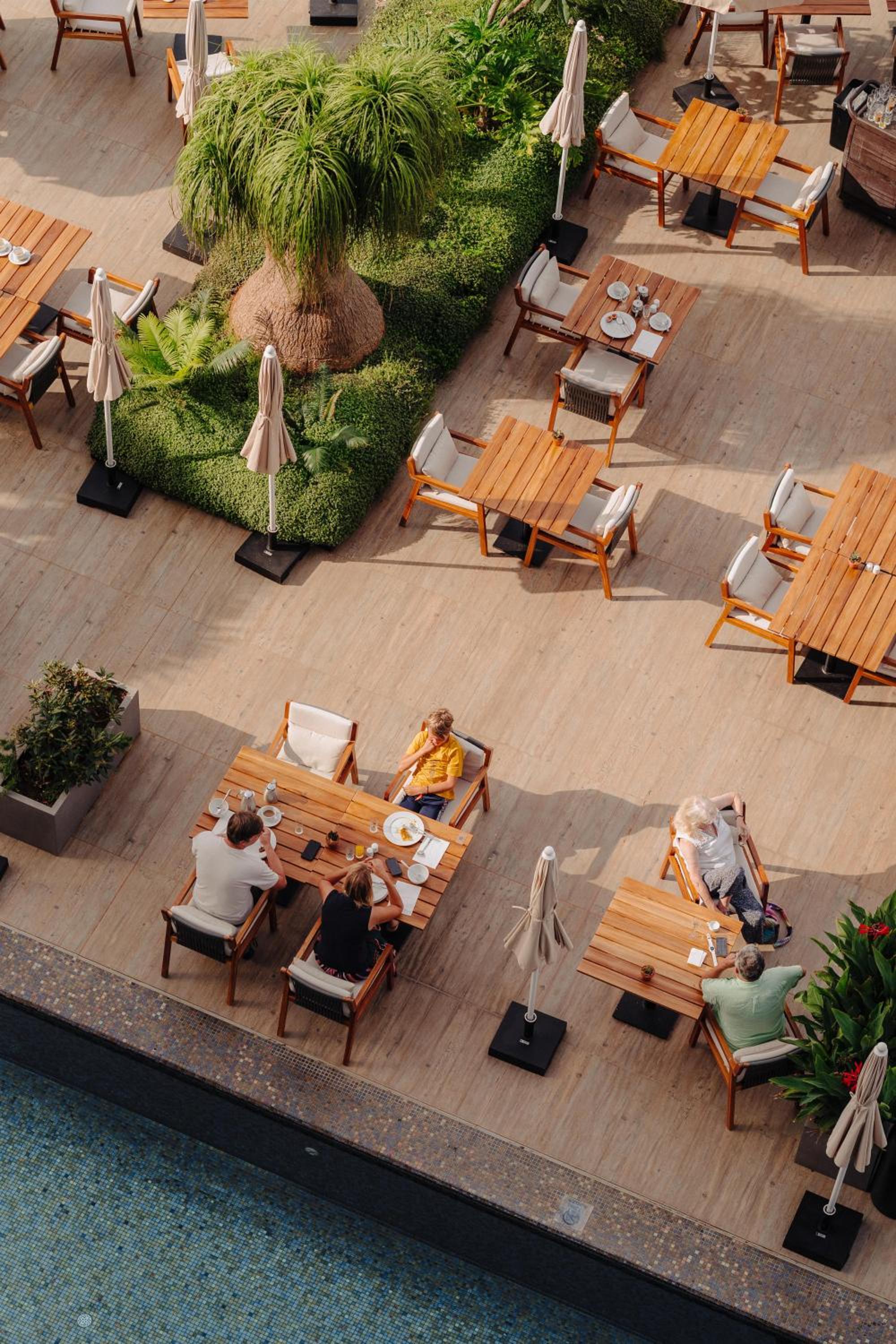 Saccharum Resort 62