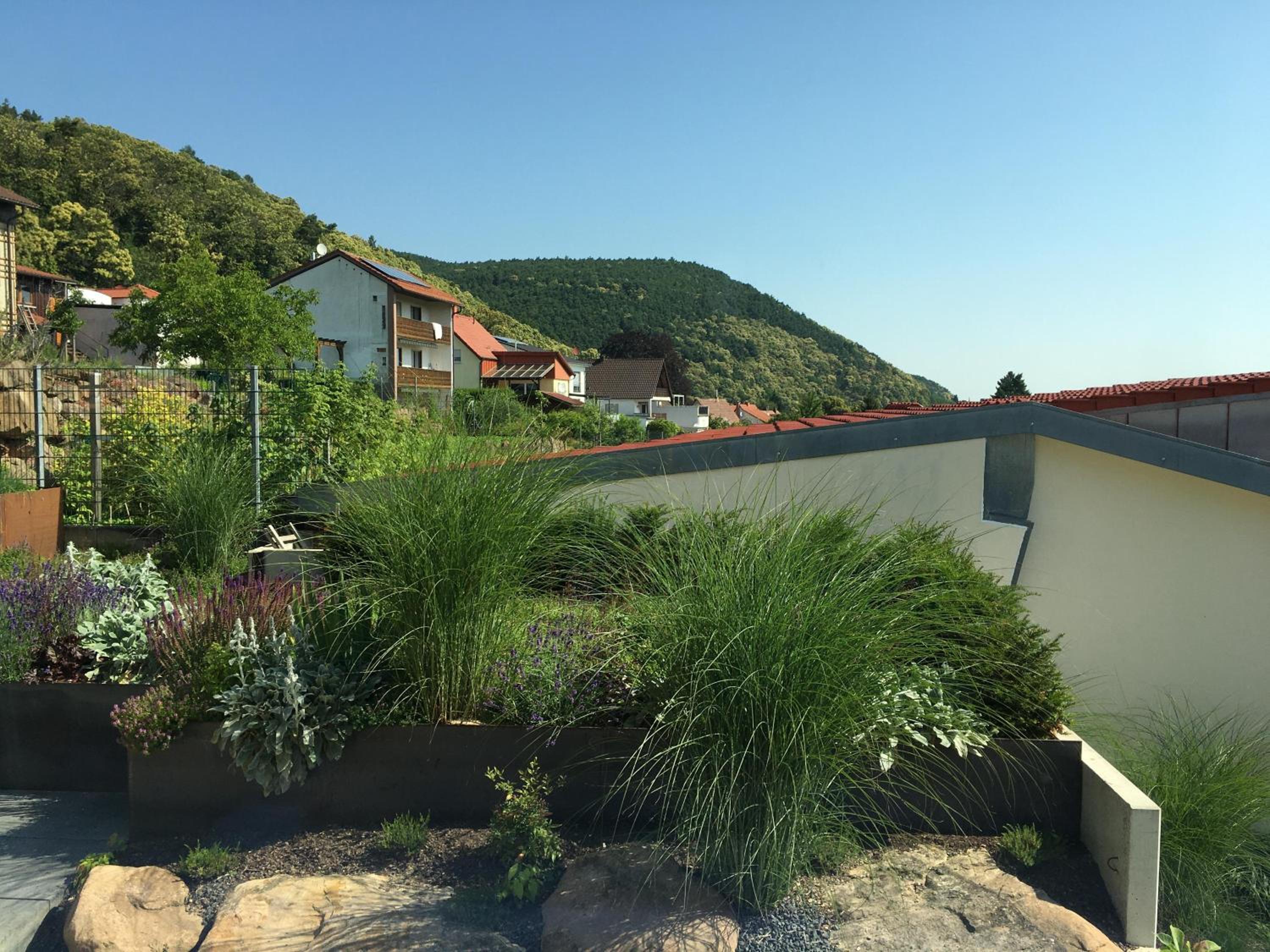 Ferienwohnung Am Ringelsberg