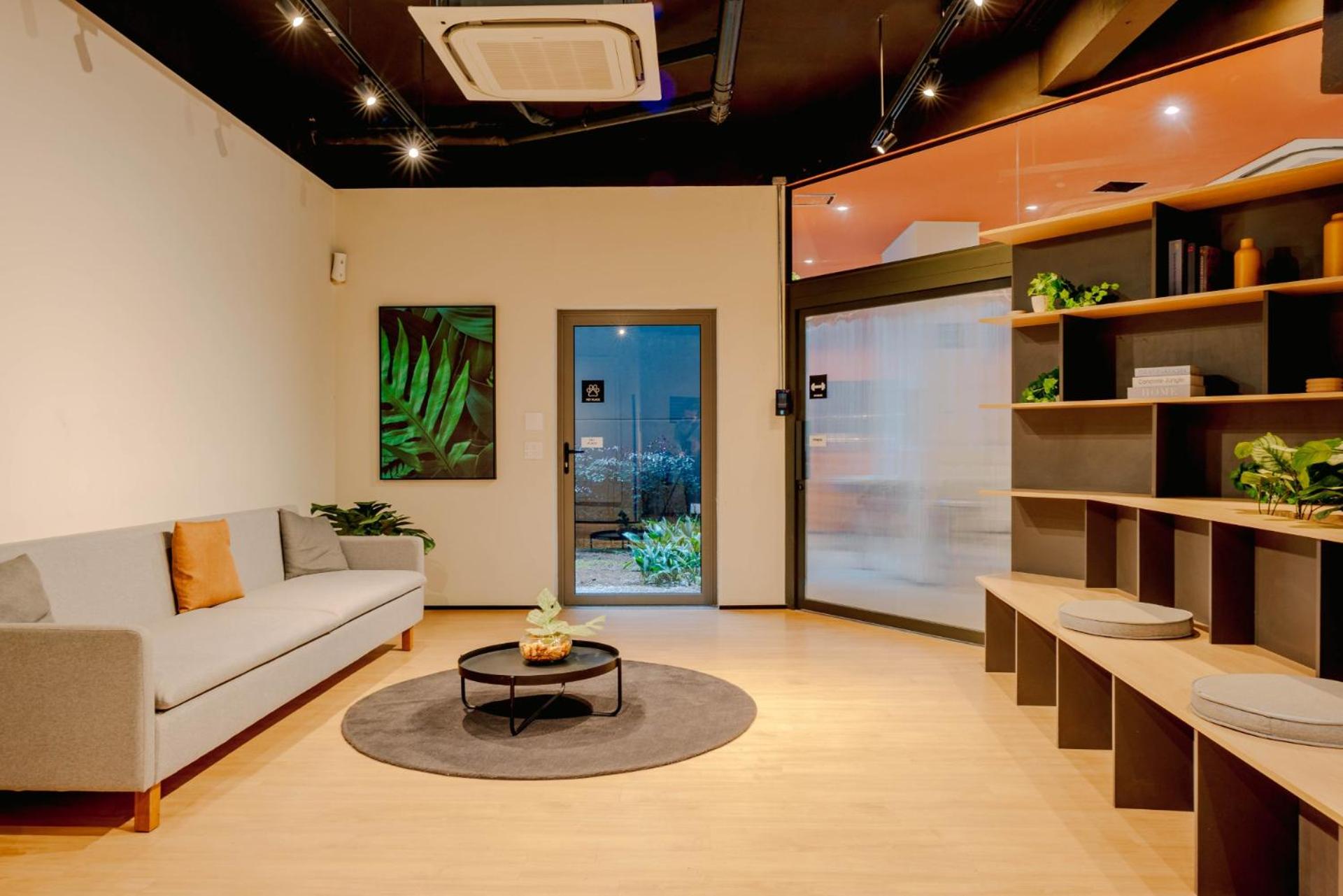 313 Lux Studios Allianz Parque