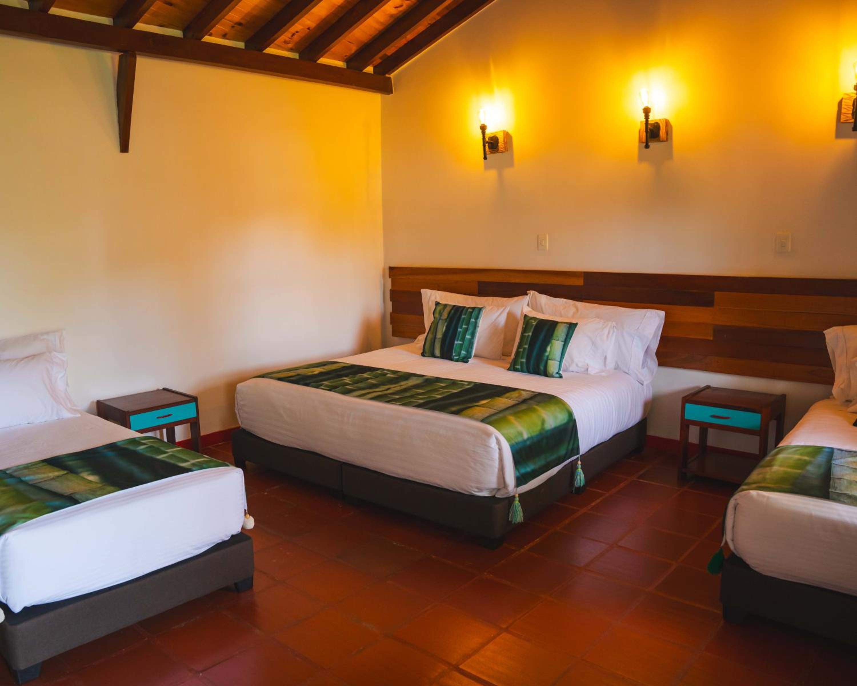 Dreamer Cocora