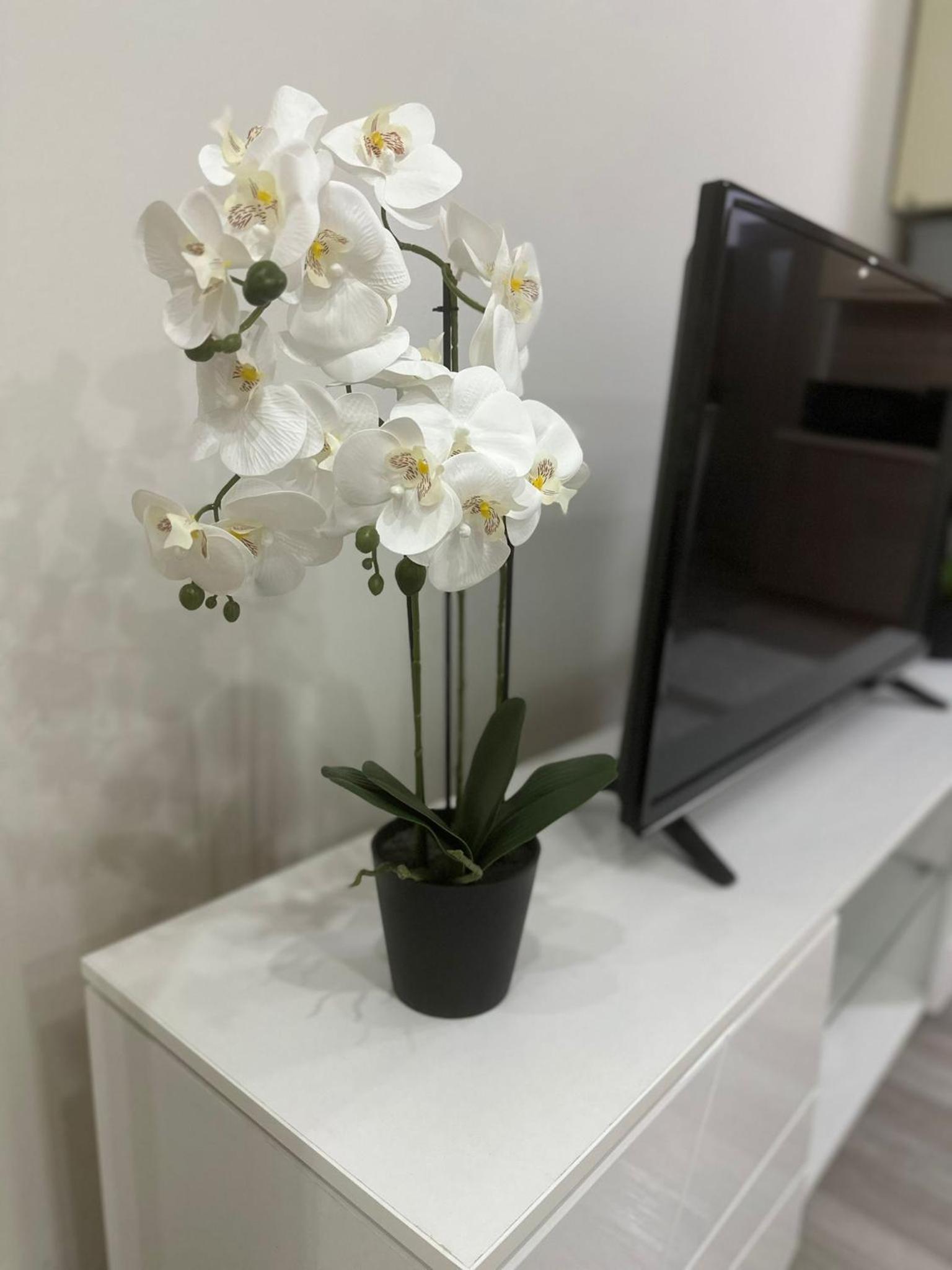 Photo 31