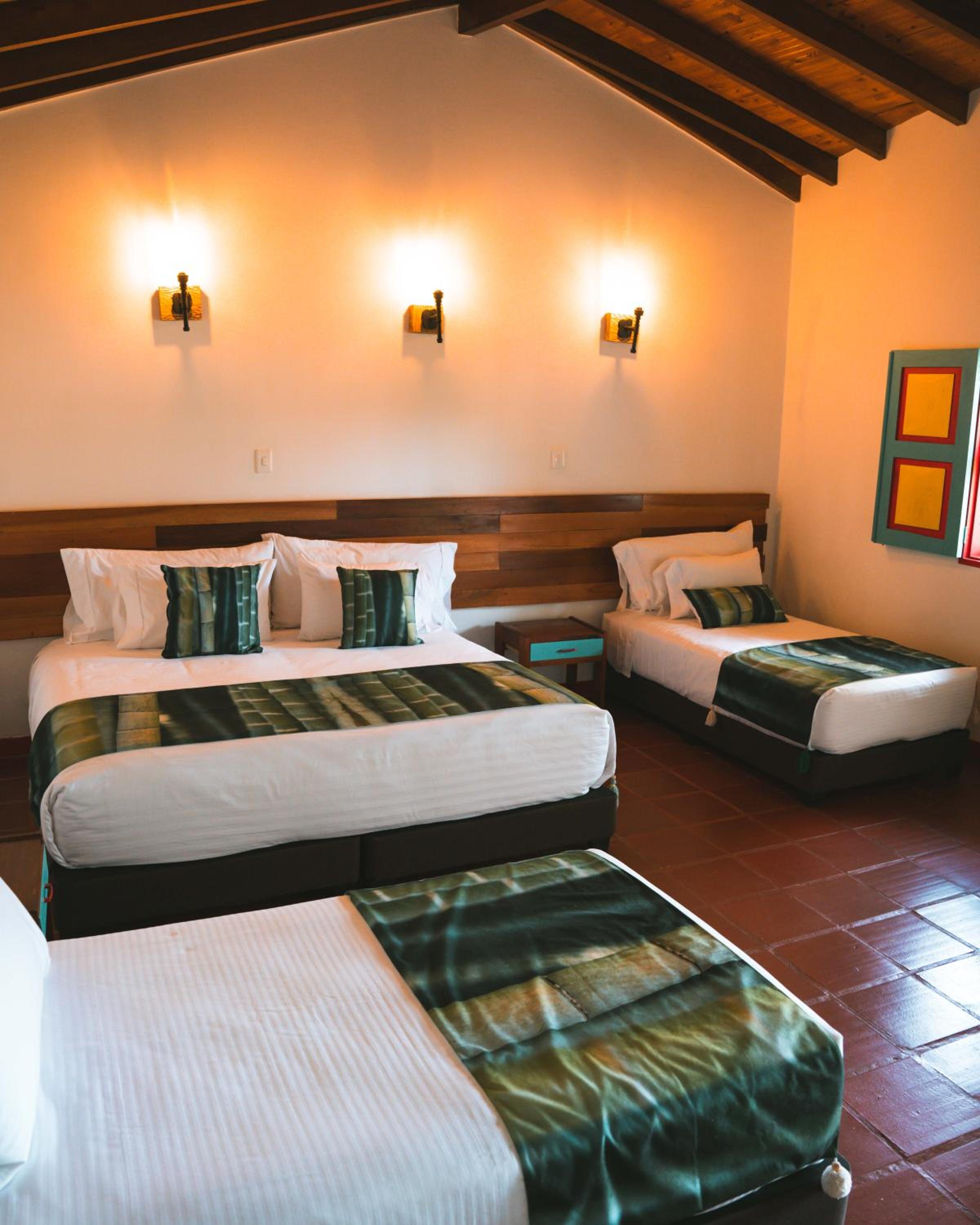 Dreamer Cocora