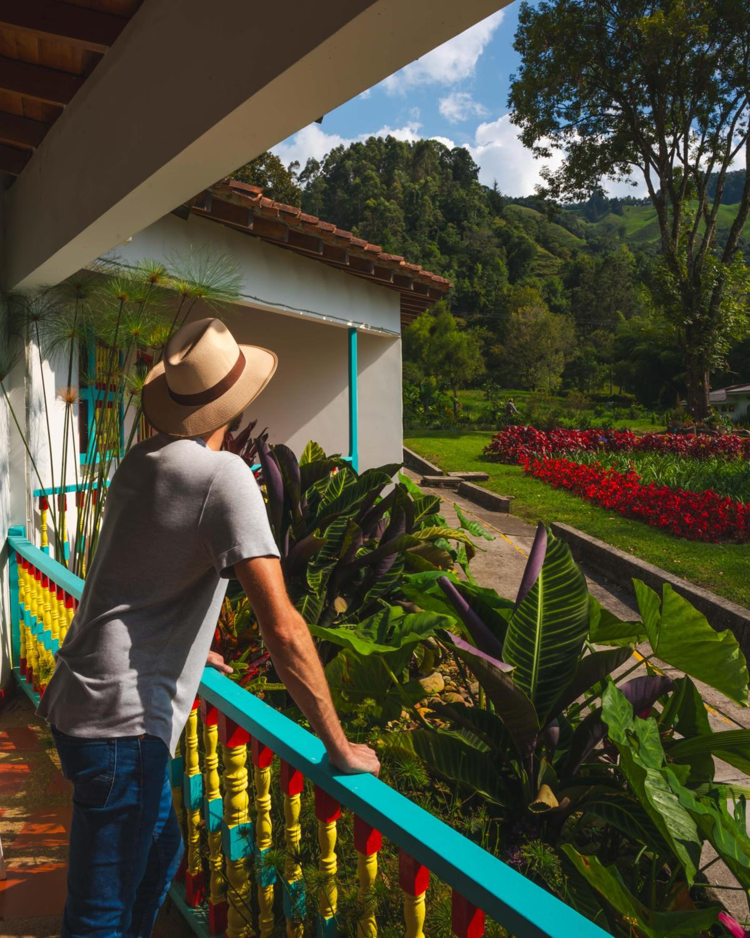 Dreamer Cocora