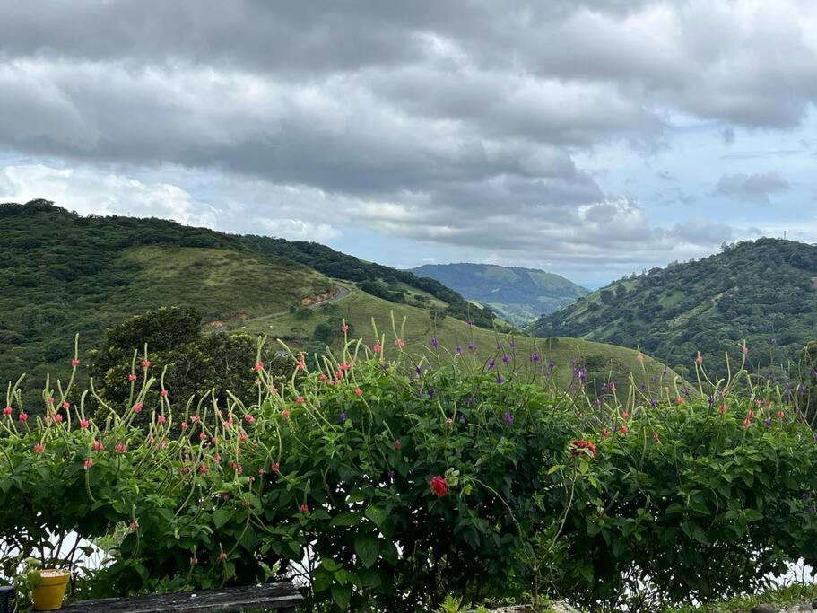 Alas House, Monteverde with amazing sunset view!