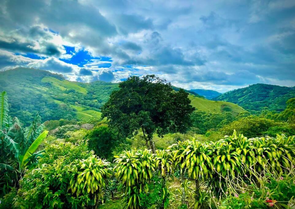 Alas House, Monteverde with amazing sunset view!