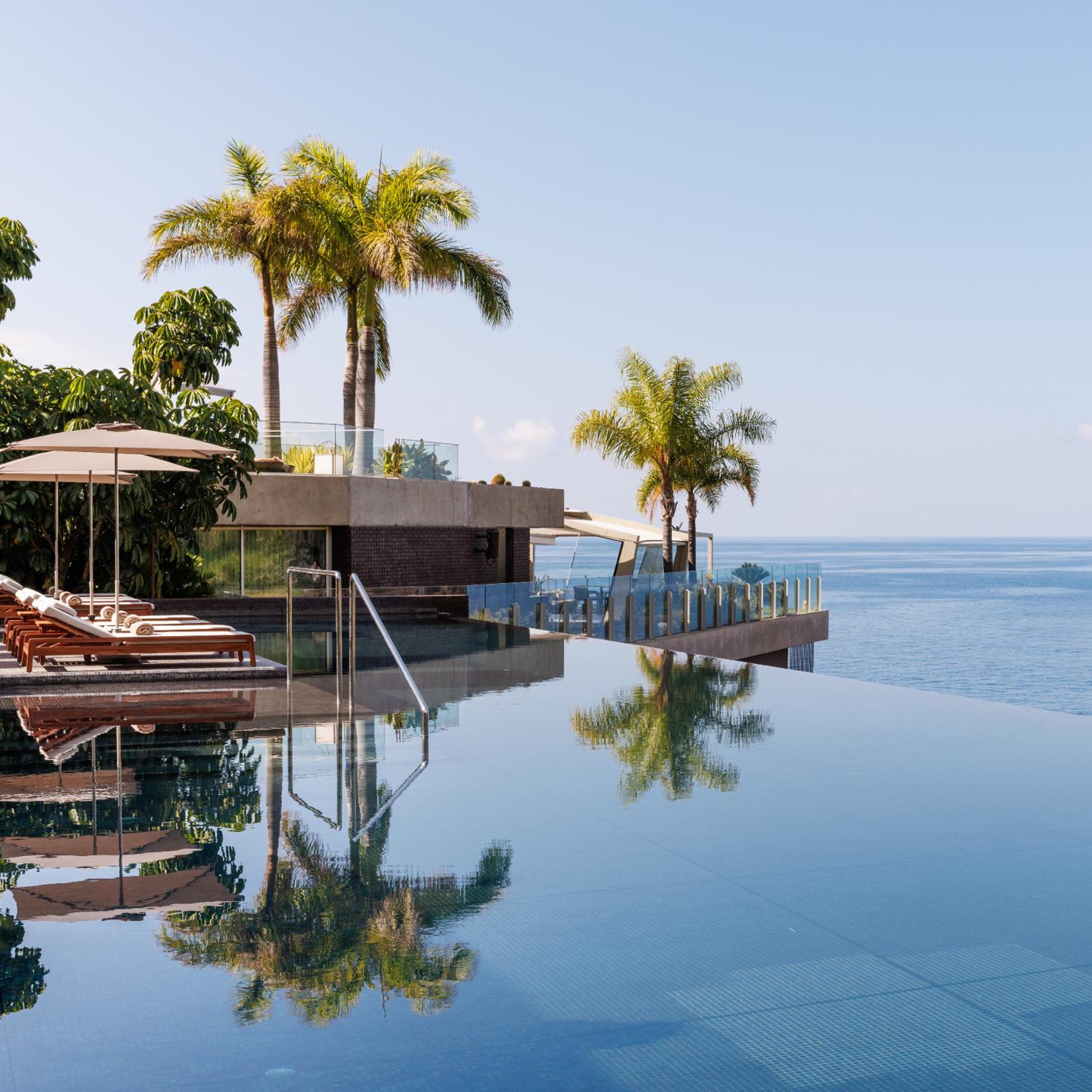 Saccharum Resort 42