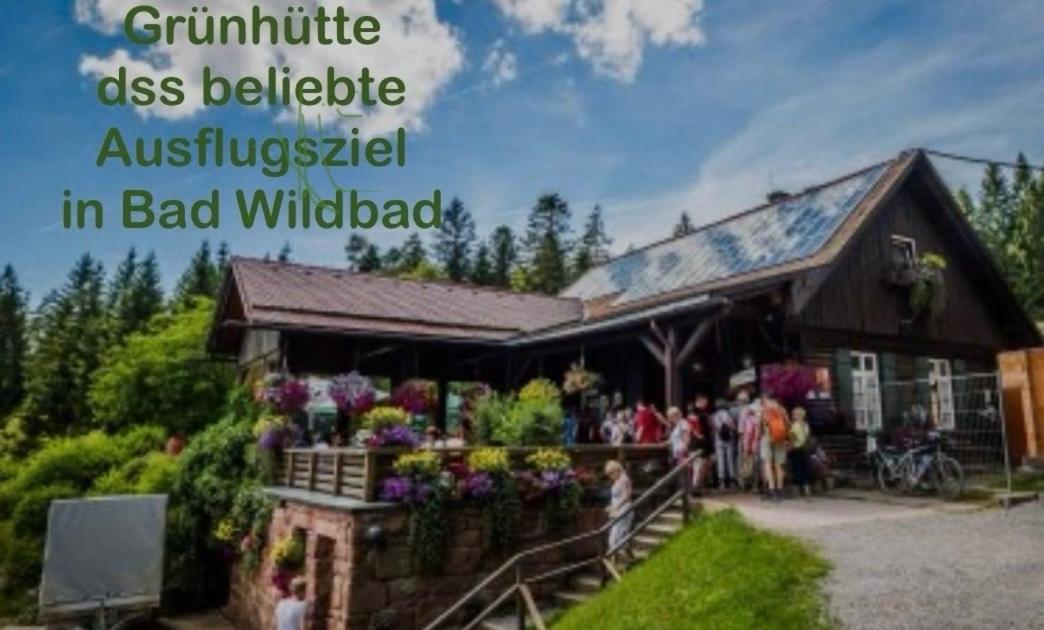 Viva la Wildbad