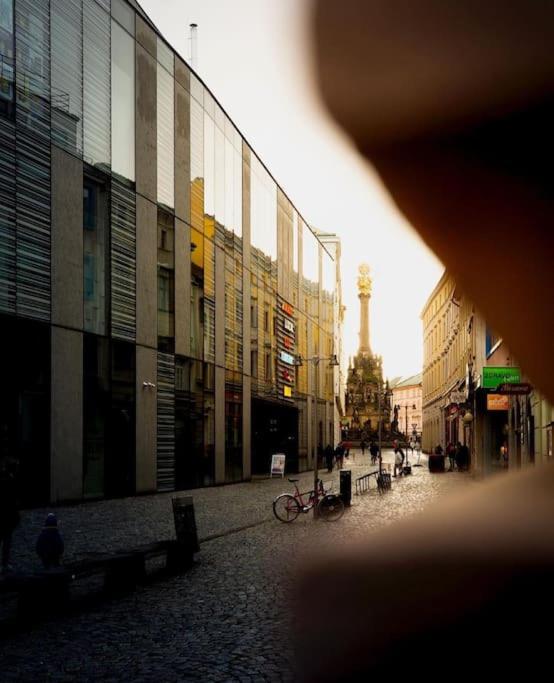 Apartmán v centru Olomouce