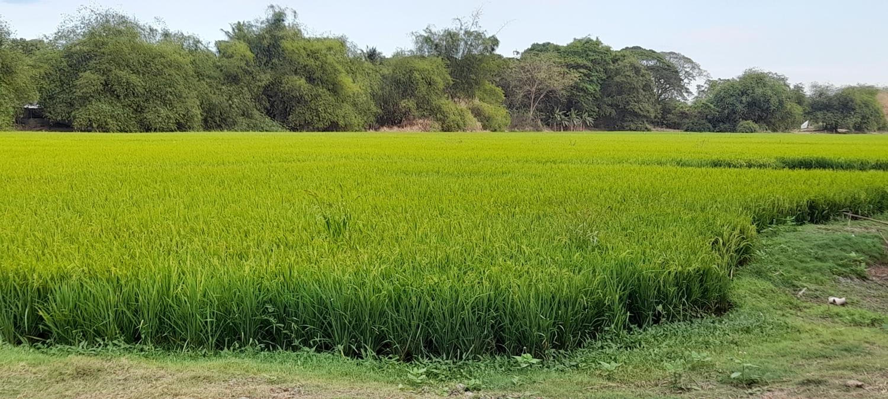 Casili farm house view 4