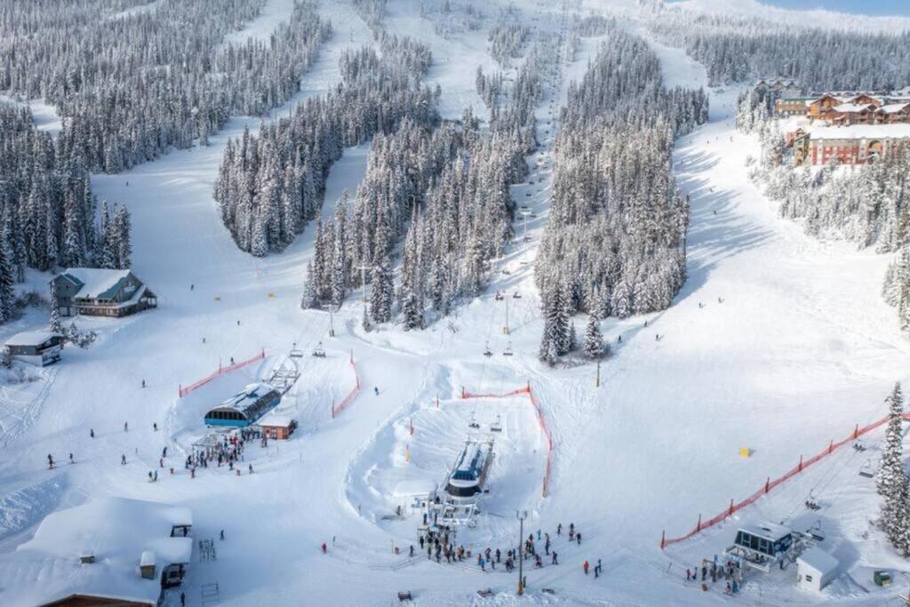 Winter Escape On Perfection - Ski In Out, Pool & Hot Tub