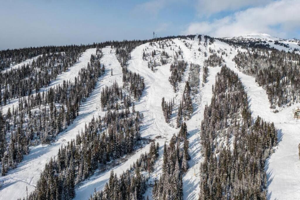 Winter Escape On Perfection - Ski In Out, Pool & Hot Tub