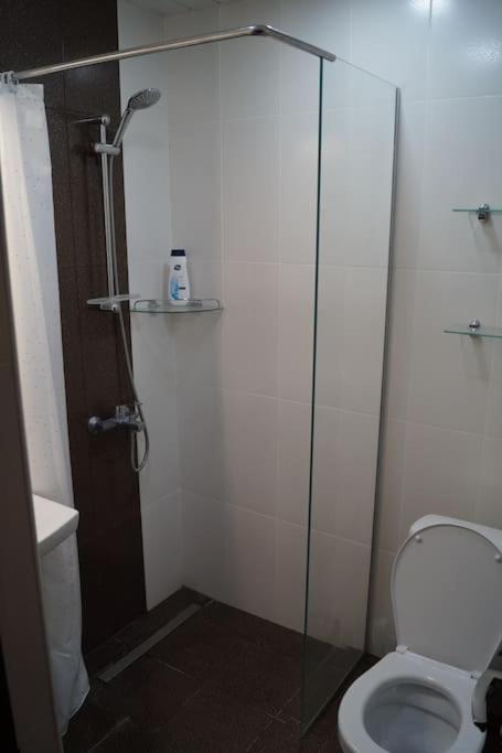 Nice Apartment 2 with best Yerevan and ARARAT view