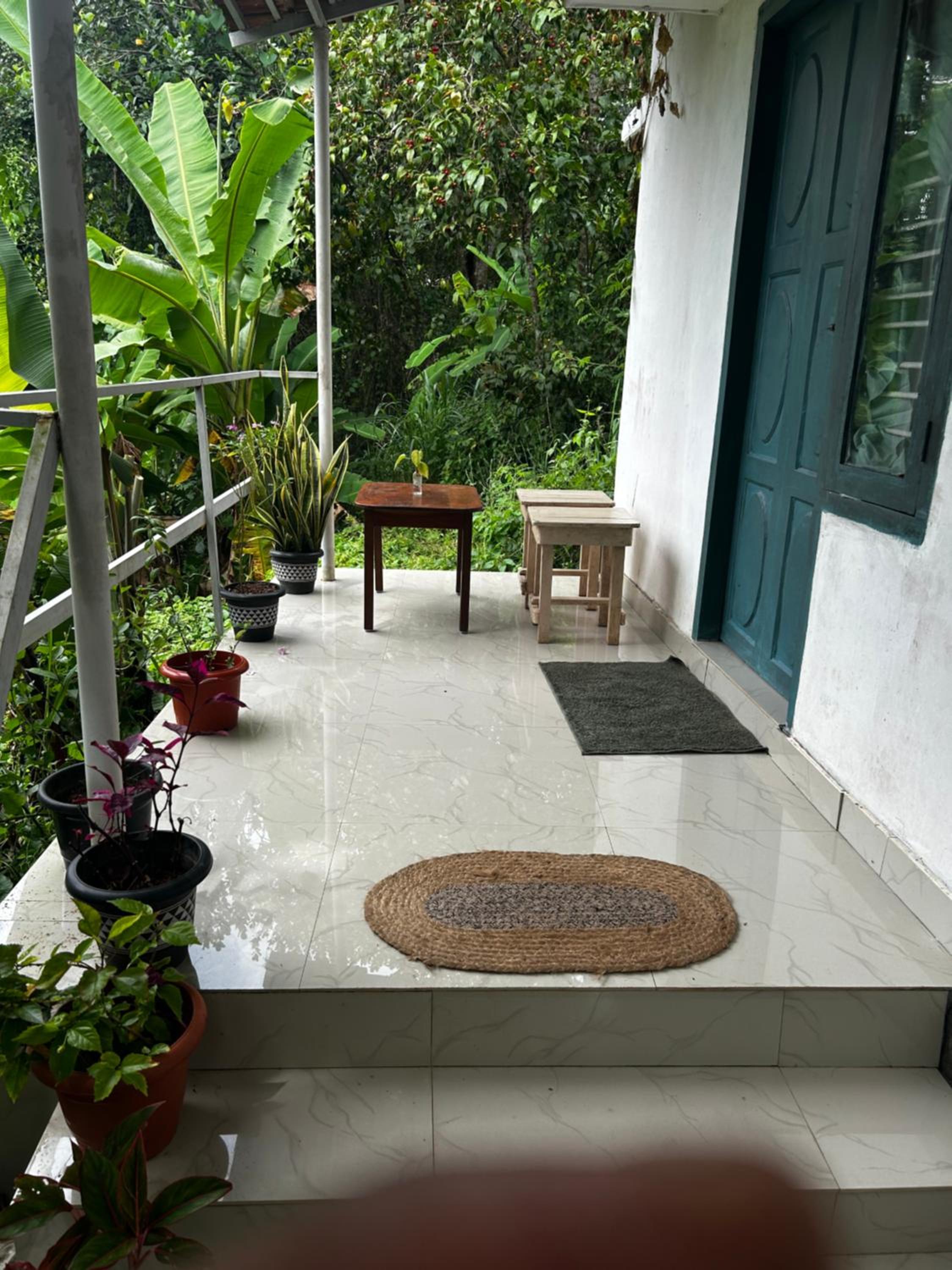MangoHome