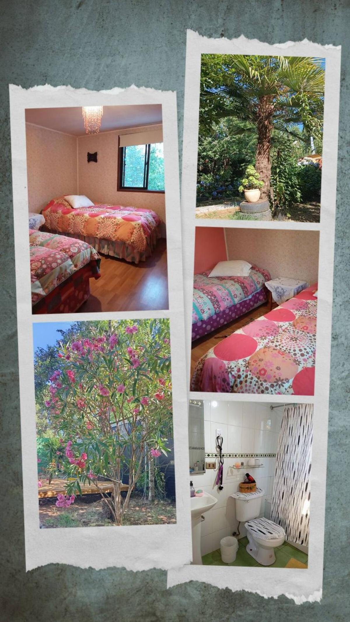 Arriendo dormitorio - alojamiento en valdivia - baño compartido