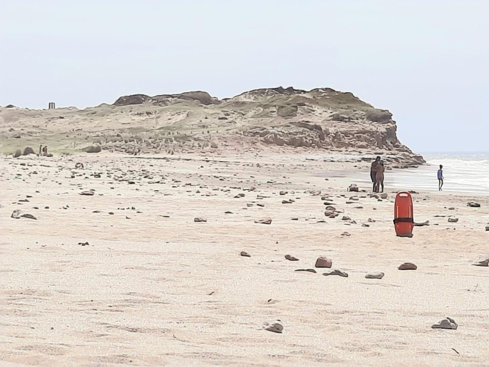 LA LECHUZA de San Edu