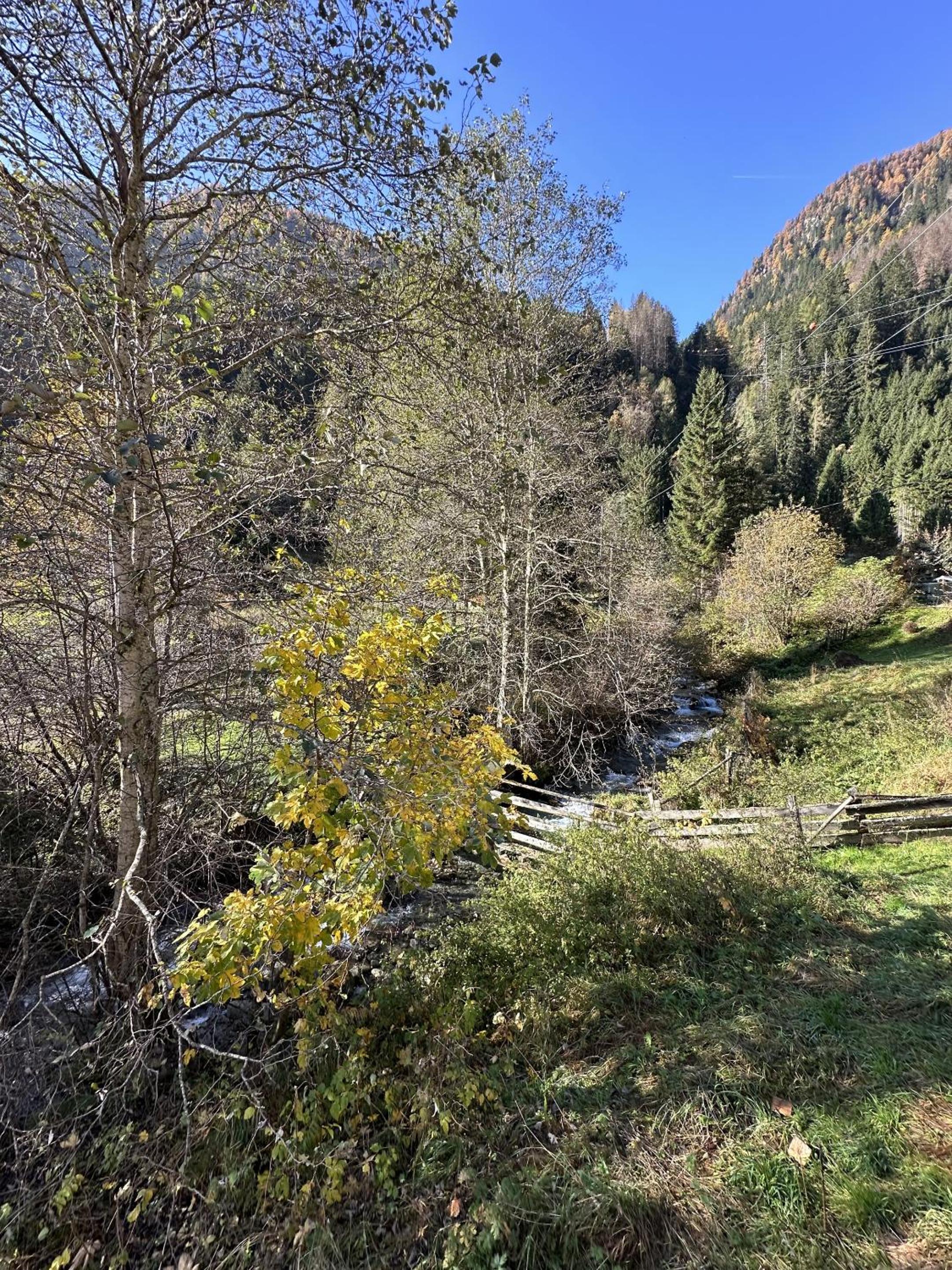 Chalet am Bachl 2