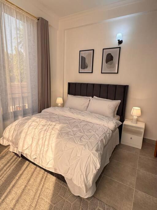 Bliss Homes 2 Bedrooms Mikocheni Apartment view 3