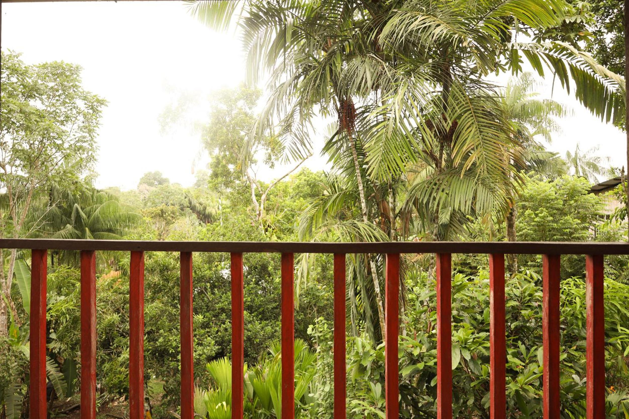 La Ceiba, Amazonas