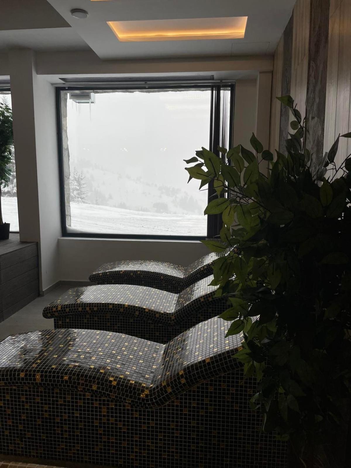 Vila Golija VM Apartment view 3