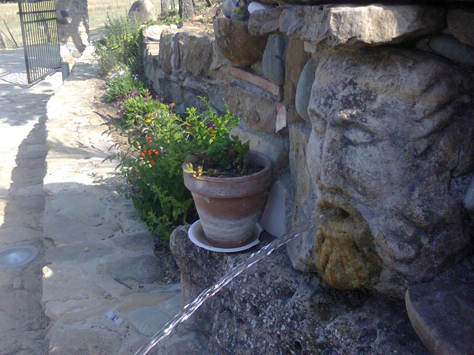 Photo 84