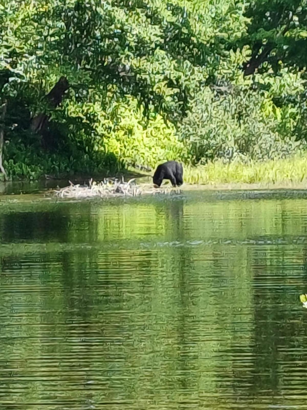 Photo 92