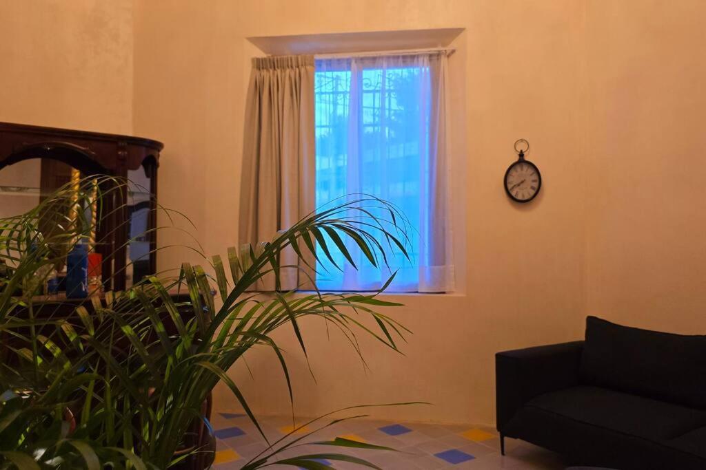 Photo 20