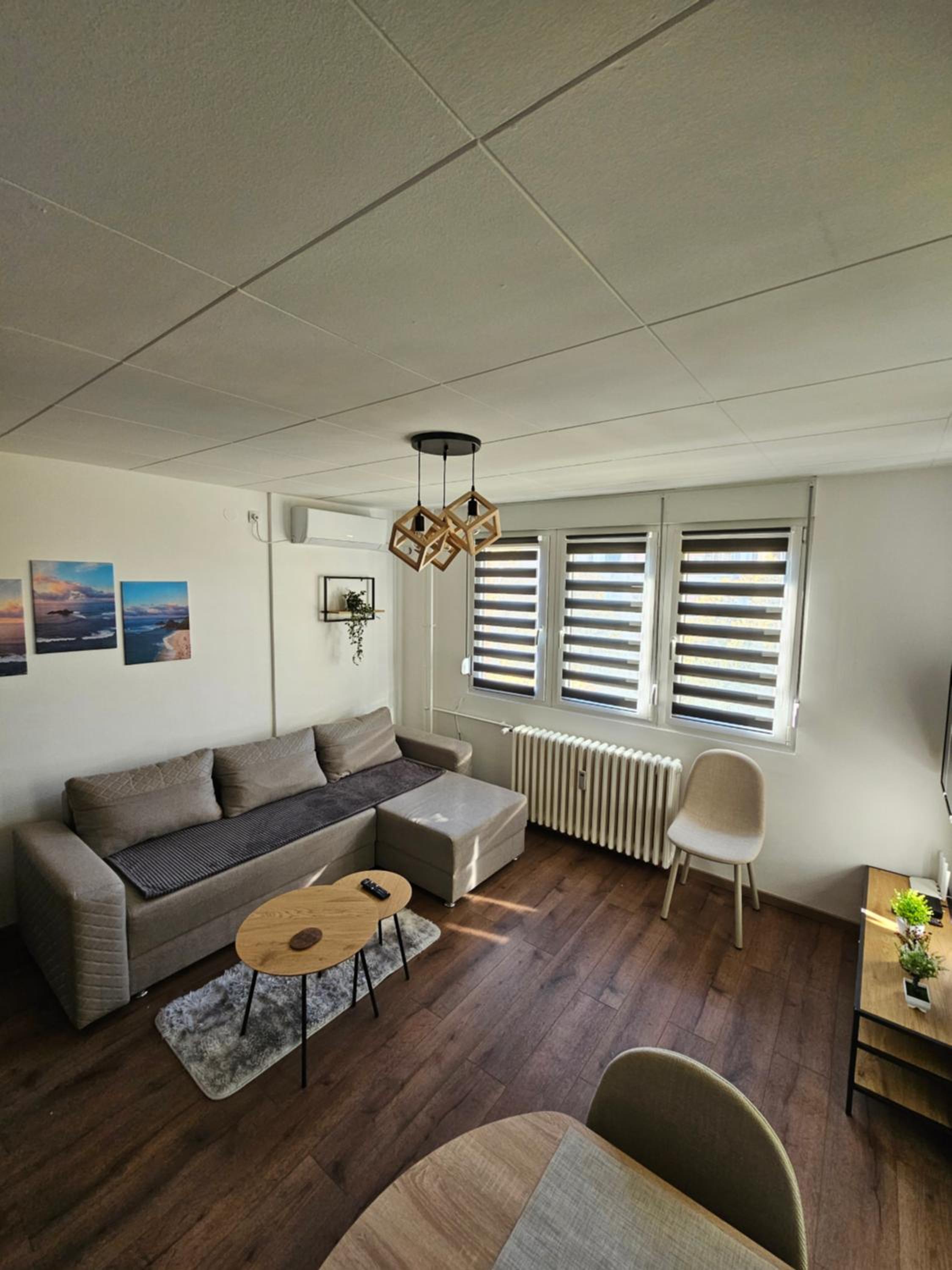 Modern Apartment S22 view 5