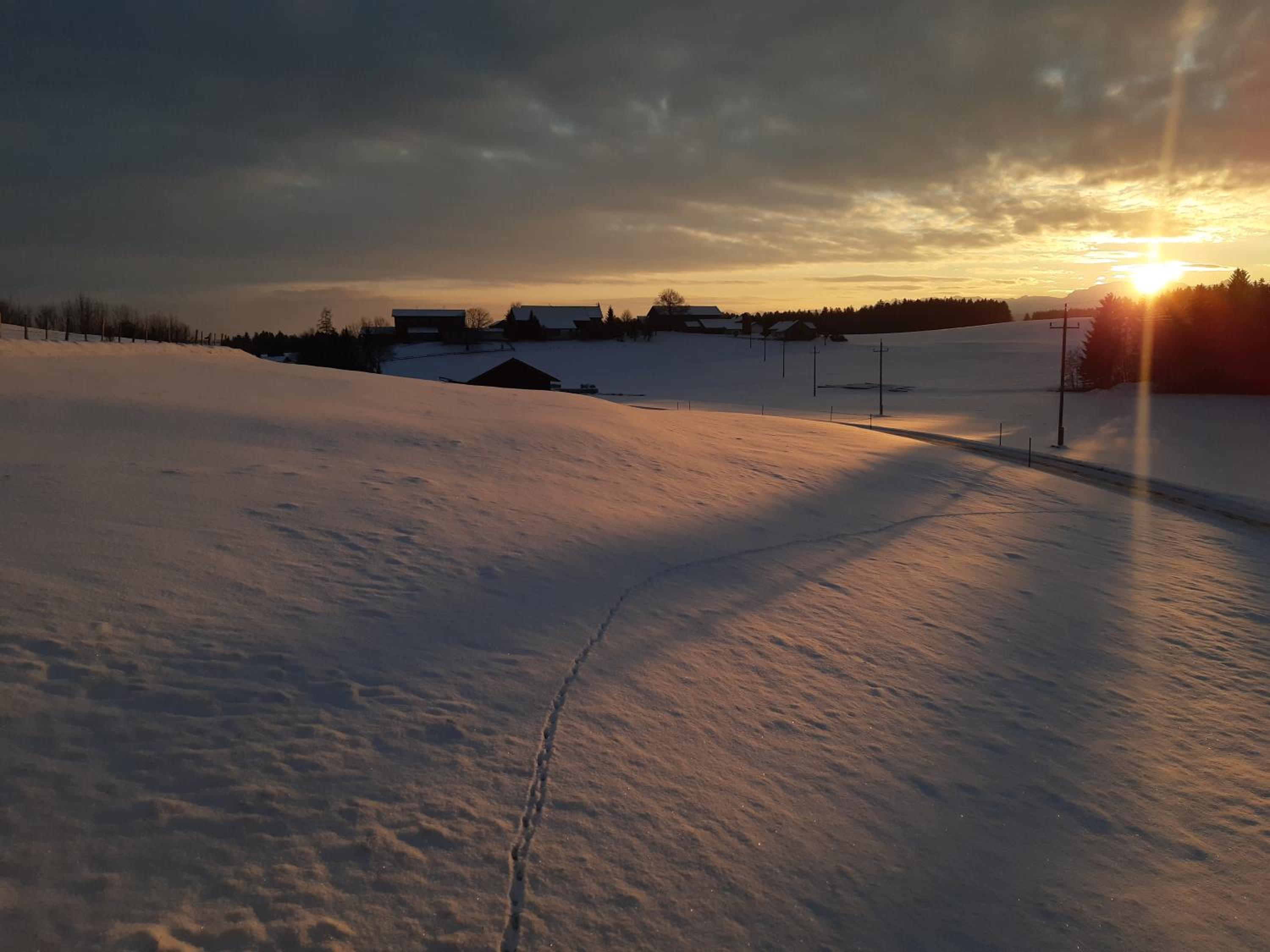 Hansihof im Allgäu