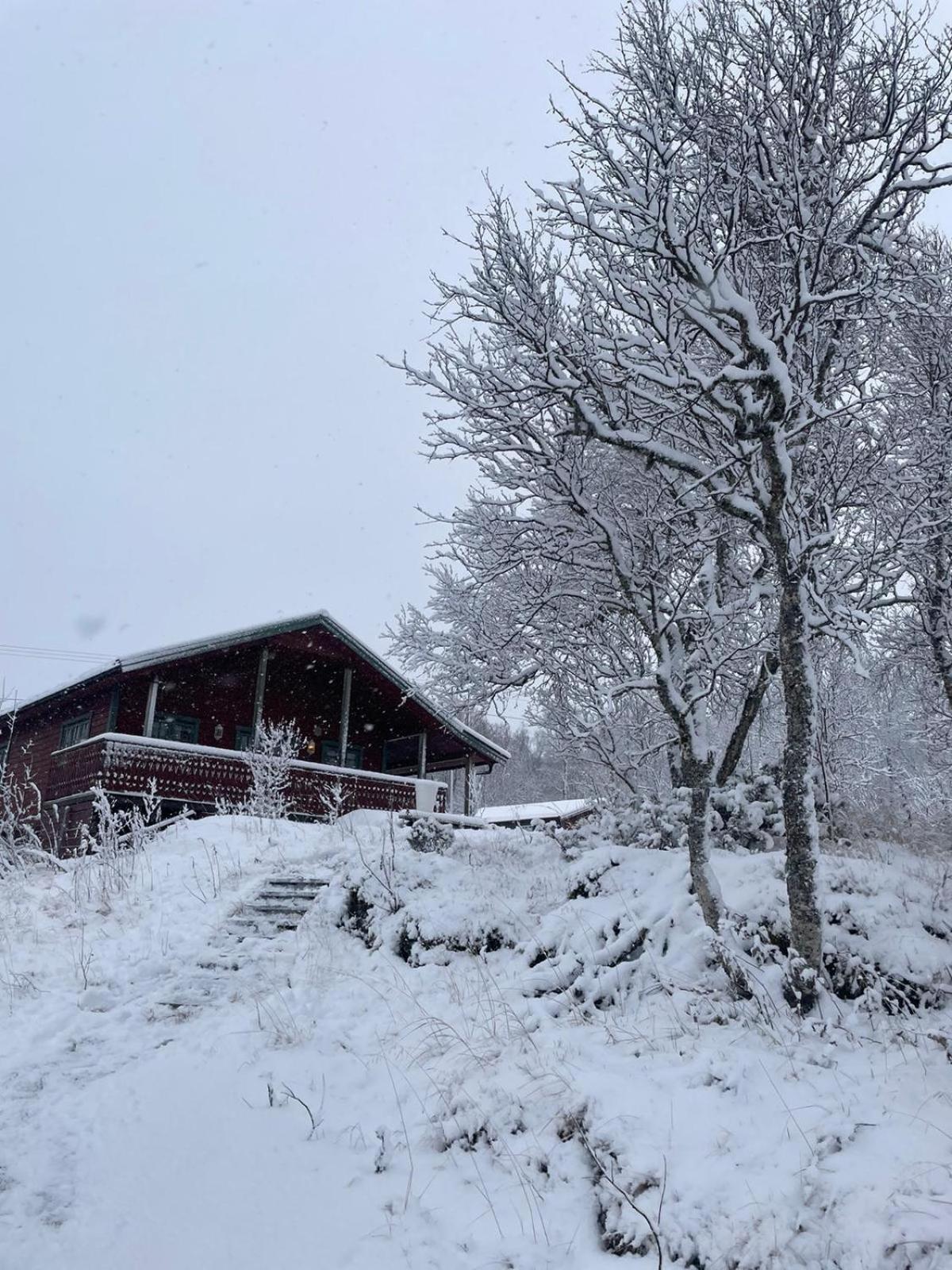 Trivelig hytte i Senja. view 2
